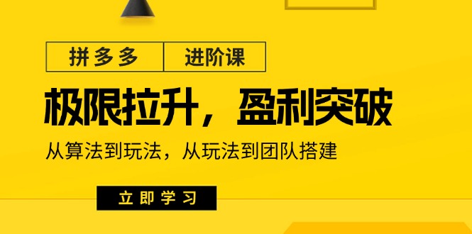 拼多多·进阶课：极限拉升/盈利突破：从算法到玩法 从玩法到团队搭建-18节-项目网