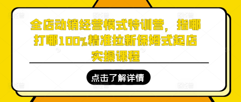 全店动销经营模式特训营，指哪打哪100%精准拉新保姆式起店实操课程-项目网