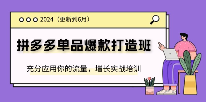 2024拼多多-单品爆款打造班(更新6月)，充分应用你的流量，增长实战培训-项目网