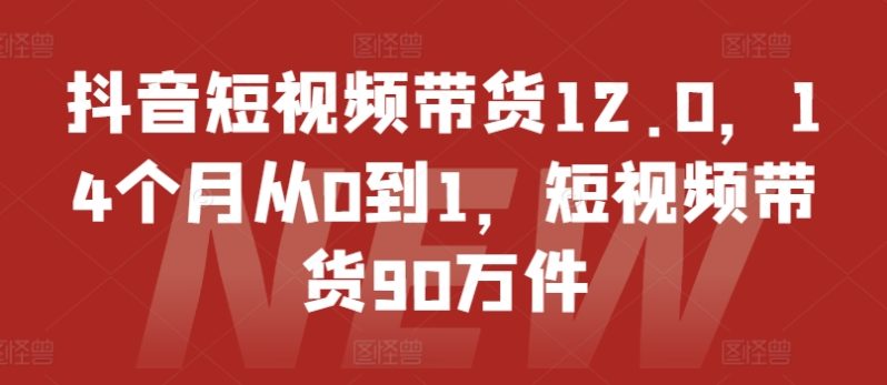 抖音短视频带货12.0，14个月从0到1，短视频带货90万件-项目网