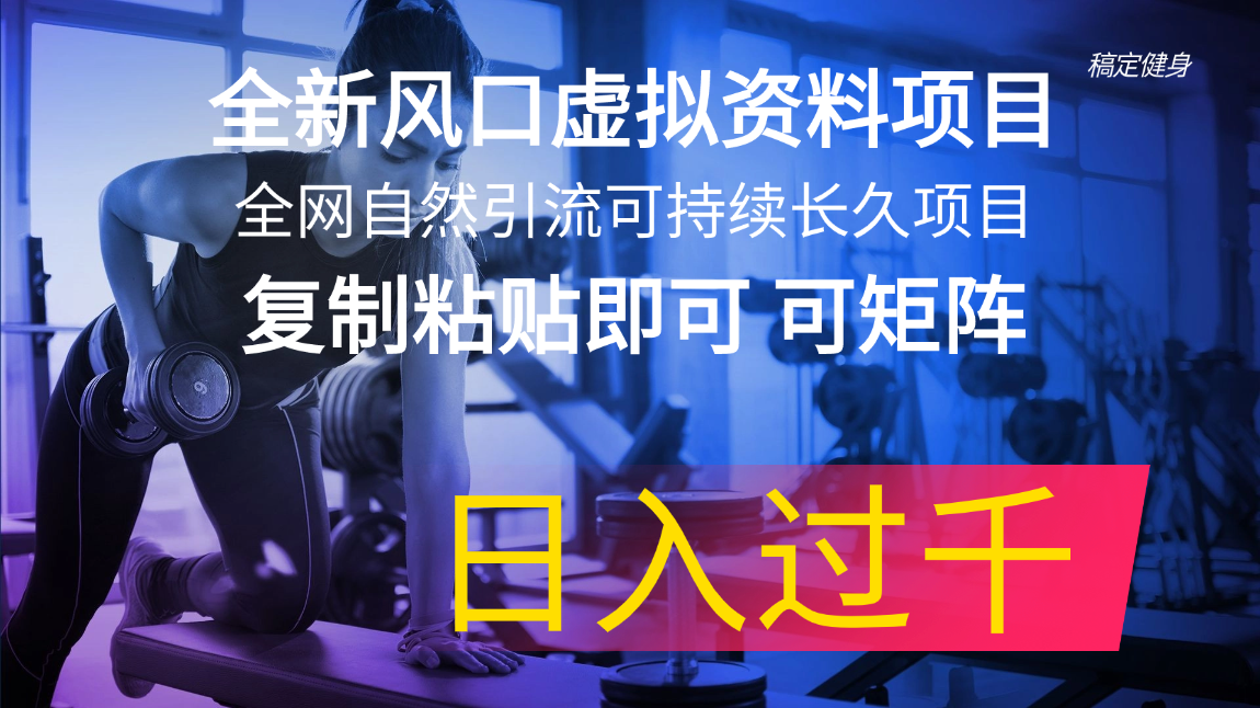 全新风口虚拟资料项目 全网自然引流可持续长久项目 复制粘贴即可可矩阵-项目网
