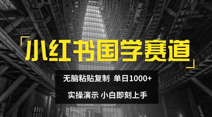 小红书国学赛道，无脑粘贴复制，单日1K，实操演示，小白即刻上手-项目网