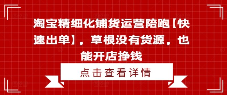 淘宝精细化铺货运营陪跑【快速出单】，草根没有货源，也能开店挣钱-项目网