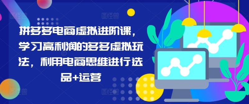 拼多多电商虚拟进阶课，学习高利润的多多虚拟玩法，利用电商思维进行选品+运营-项目网