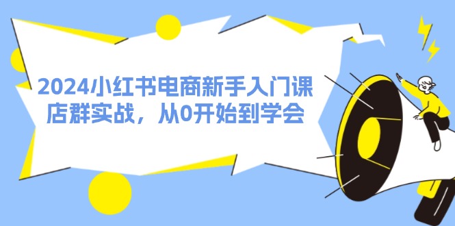 2024小红书电商新手入门课，店群实战，从0开始到学会（31节）-项目网