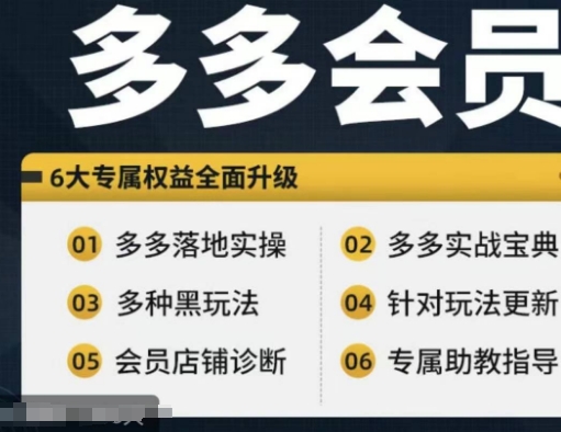 拼多多会员，拼多多实战宝典+实战落地实操，从新手到高阶内容全面覆盖-项目网