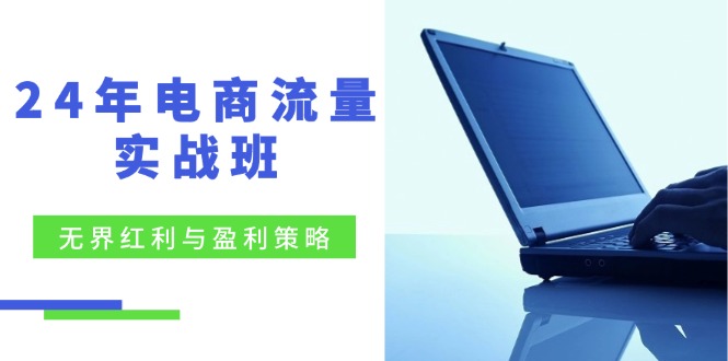 24年电商流量实战班：无界 红利与盈利策略，终极提升/关键词优化-项目网