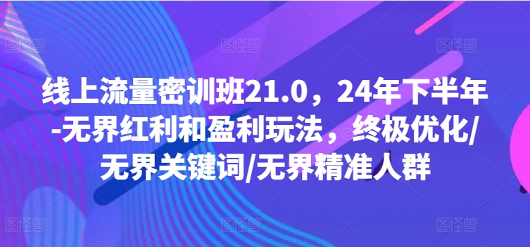 线上流量密训班21.0，24年下半年-无界红利和盈利玩法，终极优化/无界关键词/无界精准人群-项目网