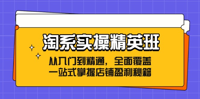 淘系实操精英班：从入门到精通，全面覆盖，一站式掌握店铺盈利秘籍-项目网