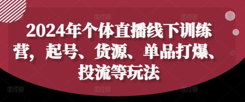 2024年个体直播训练营，起号、货源、单品打爆、投流等玩法-项目网