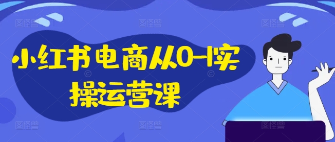 小红书电商从0-1实操运营课，小红书手机实操小红书/IP和私域课/小红书电商电脑实操板块等-项目网