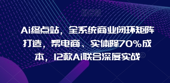 AI终点站，全系统商业闭环矩阵打造，帮电商、实体降70%成本，12款AI联合深度实战【0906更新】-项目网