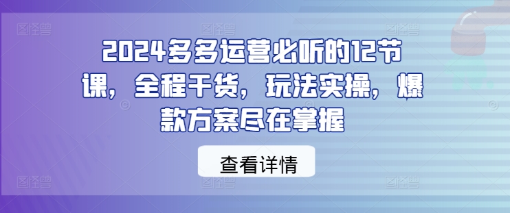 2024多多运营必听的12节课，全程干货，玩法实操，爆款方案尽在掌握-项目网
