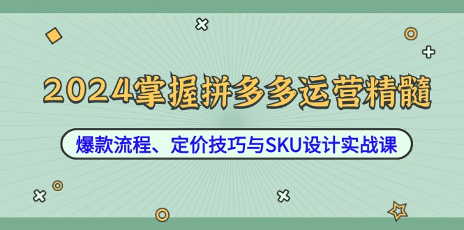 2024掌握拼多多运营精髓：爆款流程、定价技巧与SKU设计实战课-项目网