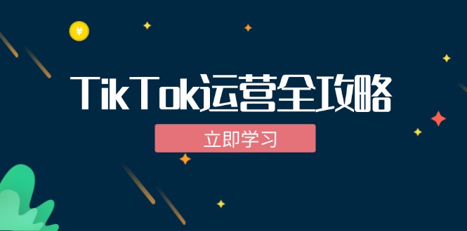 TikTok实战运营全攻略：从下载软件到变现，抖音海外版实操教程-项目网