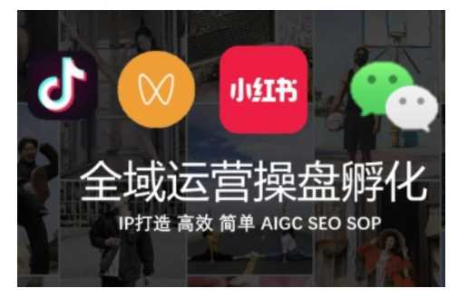 全域运营操盘(抖音+私域+小红书)，IP打造高效简单-项目网