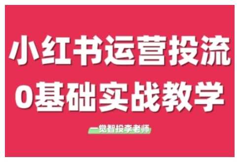 小红书运营投流，小红书广告投放从0到1的实战课，学完即可开始投放-项目网